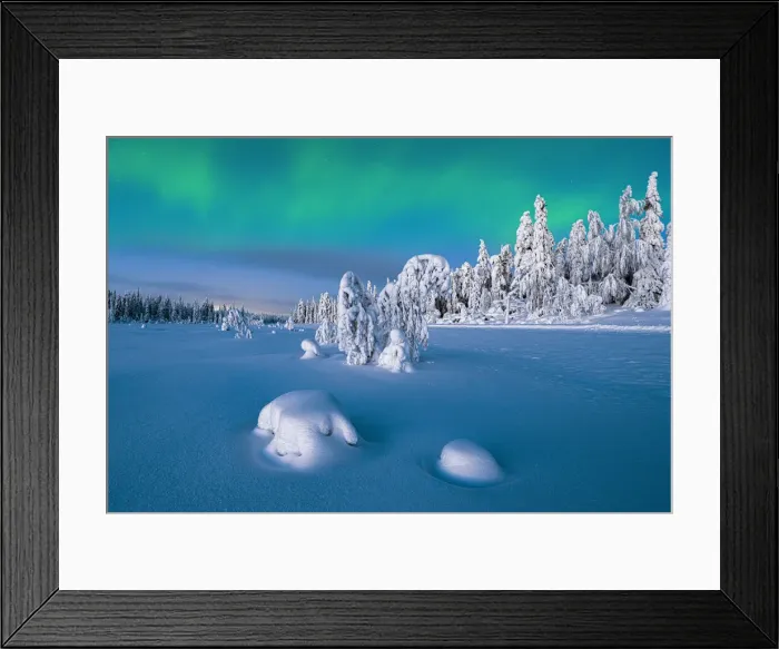 Framed Print : Northern Lights (Aurora Borealis) over frozen spruce trees covered with snow at dusk, Lapland, Finland, Europe Framed Print : Northern Lights (Aurora Borealis) over frozen spruce trees covered with snow at dusk, Lapland, Finland, Europe