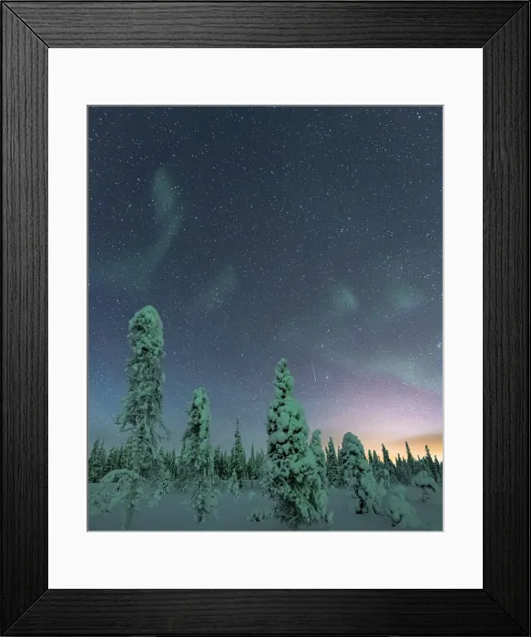 Framed Print : Frozen trees under the starry sky during the Northern Lights (Aurora Borealis) in winter, Iso Syote, Lapland, Finland, Europe Framed Print : Frozen trees under the starry sky during the Northern Lights (Aurora Borealis) in winter, Iso Syote, Lapland, Finland, Europe