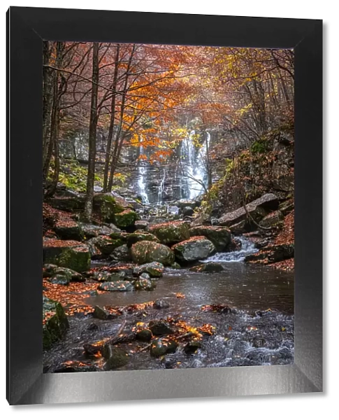 Dardagna waterfalls and river with autumn foliage, Emilia Romagna, Italy, Europe