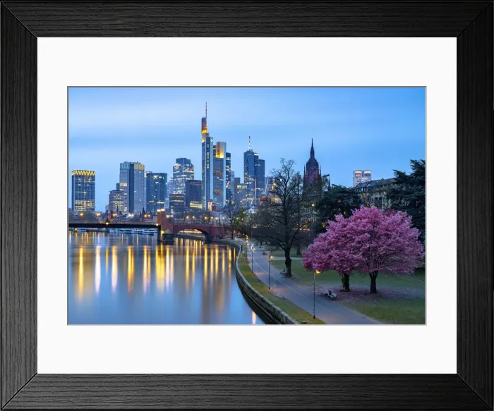 Framed Print : Cherry tree in bloom on banks of River Main with skyline of business district in the background at dusk, Frankfurt am Main, Hesse, Germany Europe Framed Print : Cherry tree in bloom on banks of River Main with skyline of business district in the background at dusk, Frankfurt am Main, Hesse, Germany Europe