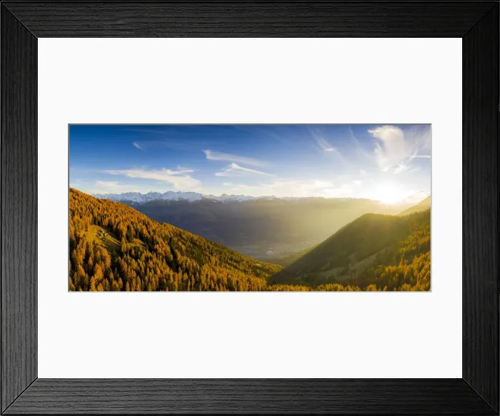 Framed Print : Panoramic view of the larch forest in autumn at sunset, Alpe Mara, Valtellina, Lombardy, Italy, Europe