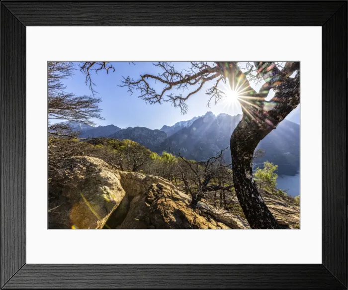 Framed Print : Burnt trees with view on Lago di Novate and Sasso Manduino peak, Valchiavenna, Valtellina, Lombardy, Italy, Europe Framed Print : Burnt trees with view on Lago di Novate and Sasso Manduino peak, Valchiavenna, Valtellina, Lombardy, Italy, Europe