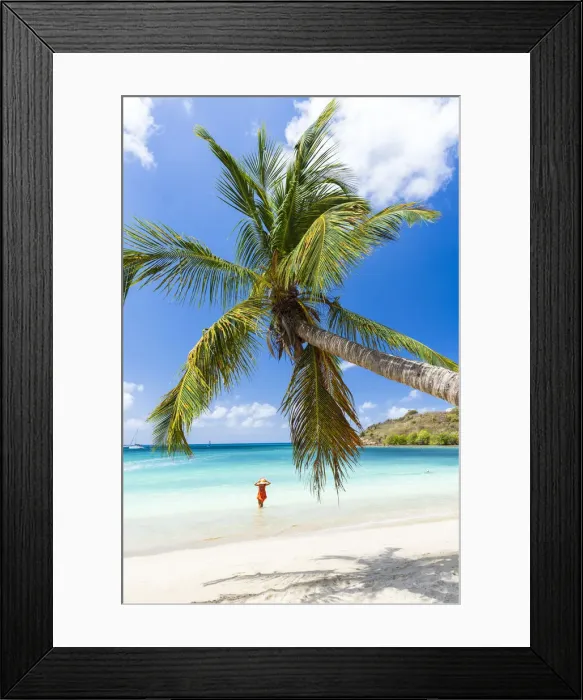 Framed Print : Woman with straw hat looking at the palm trees beach standing in the turquoise water of Caribbean Sea, Antigua, West Indies, Caribbean, Central America Framed Print : Woman with straw hat looking at the palm trees beach standing in the turquoise water of Caribbean Sea, Antigua, West Indies, Caribbean, Central America