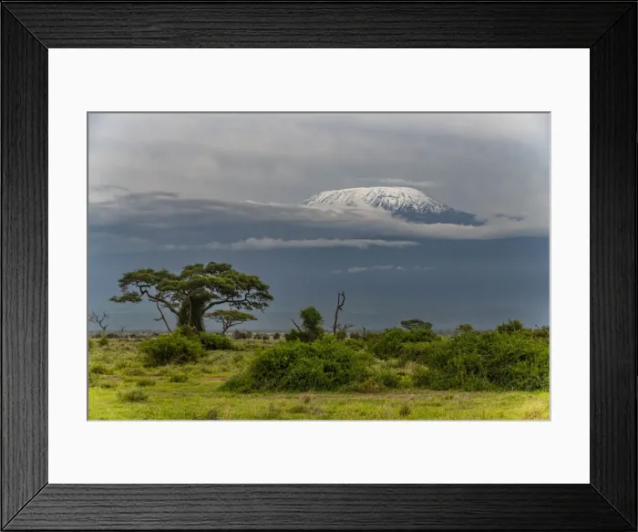 Framed Print : Mount Kilimanjaro, Amboseli National Park, Kenya, East Africa, Africa Framed Print : Mount Kilimanjaro, Amboseli National Park, Kenya, East Africa, Africa