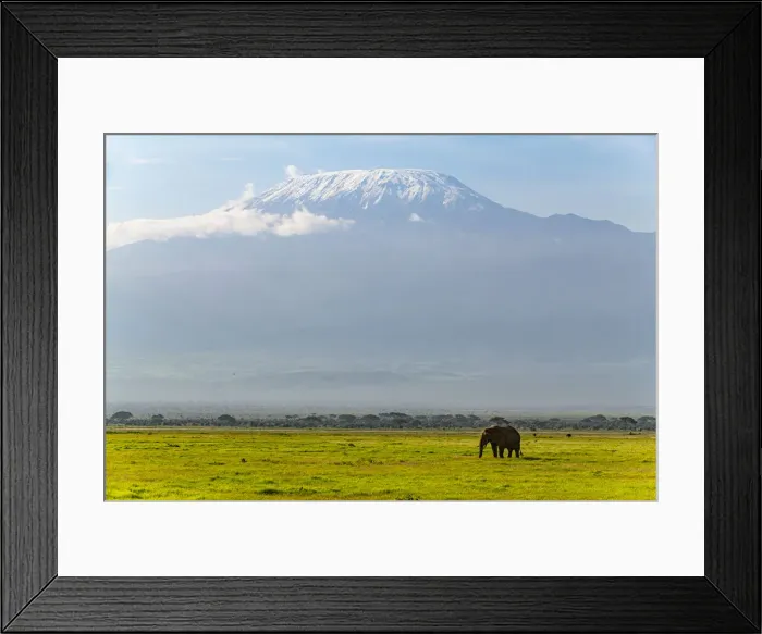 Framed Print : African elephant (Loxodonta) with Mount Kilimanjaro in the background, Amboseli National Park, Kenya, East Africa, Africa Framed Print : African elephant (Loxodonta) with Mount Kilimanjaro in the background, Amboseli National Park, Kenya, East Africa, Africa