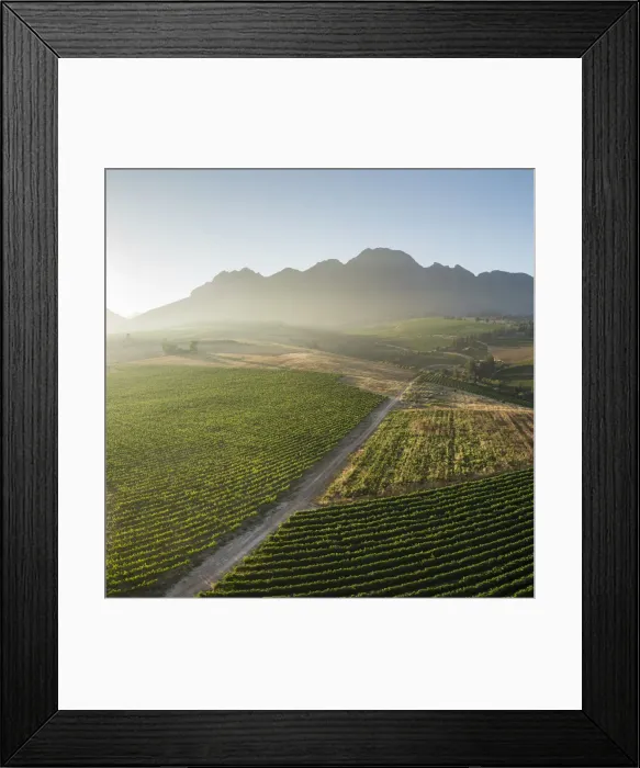 Framed Print : Aerial view of wine vineyards near Stellenbosch, Western Cape, South Africa, Africa Framed Print : Aerial view of wine vineyards near Stellenbosch, Western Cape, South Africa, Africa