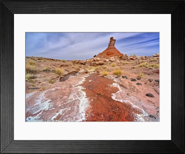 Framed Print : A hoodoo called The Guardian near a natural Spring west of Pintado Point in Petrified Forest National Park, Arizona, United States of America, North America Framed Print : A hoodoo called The Guardian near a natural Spring west of Pintado Point in Petrified Forest National Park, Arizona, United States of America, North America