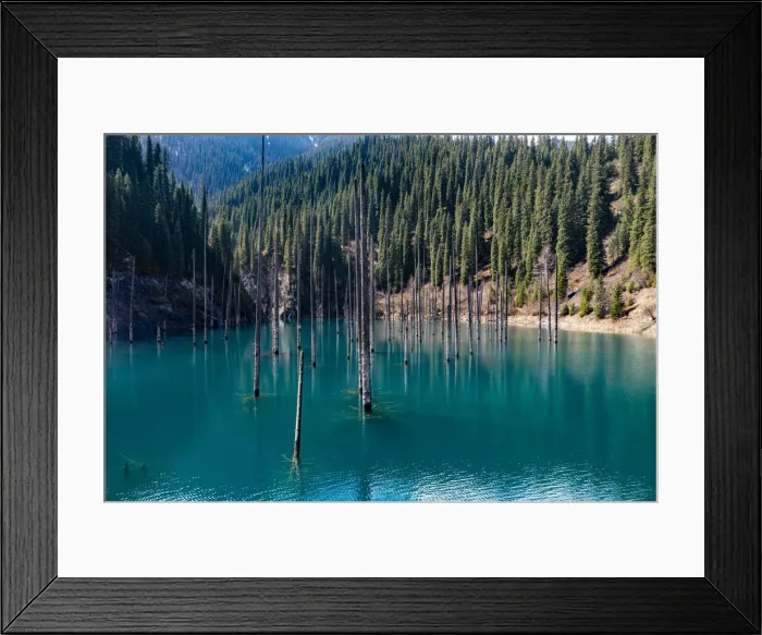Framed Print : Aerial of the Kaindy Lake with its dead trees, Kolsay Lakes National Park, Tian Shan mountains, Kazakhstan, Central Asia, Asia Framed Print : Aerial of the Kaindy Lake with its dead trees, Kolsay Lakes National Park, Tian Shan mountains, Kazakhstan, Central Asia, Asia