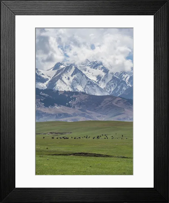 Framed Print : Cow herd in front of the Kolsay Lakes National Park, Tian Shan mountains, Kazakhstan, Central Asia, Asia Framed Print : Cow herd in front of the Kolsay Lakes National Park, Tian Shan mountains, Kazakhstan, Central Asia, Asia