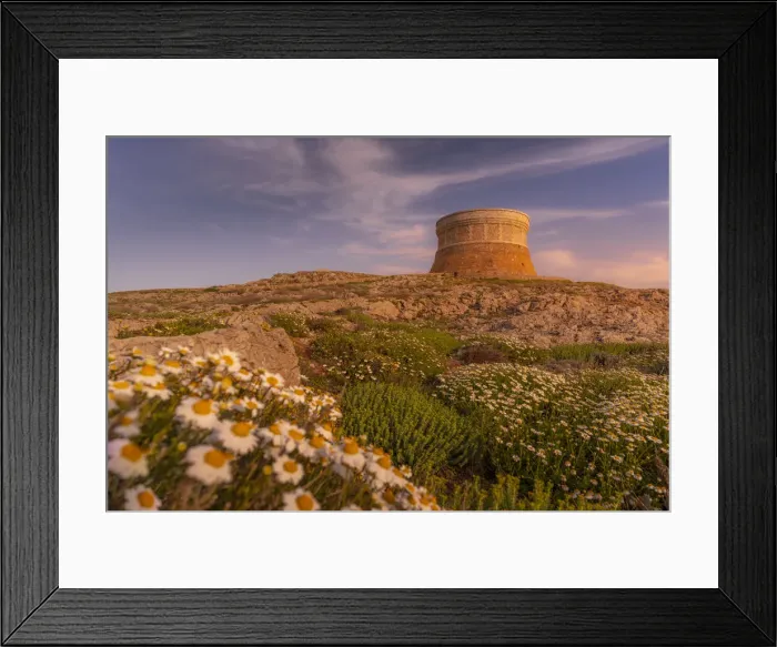 Framed Print : View of Fornelles Tower fortress and spring flowers at sunset in Fornelles, Fornelles, Menorca, Balearic Islands, Spain, Mediterranean, Europe Framed Print : View of Fornelles Tower fortress and spring flowers at sunset in Fornelles, Fornelles, Menorca, Balearic Islands, Spain, Mediterranean, Europe