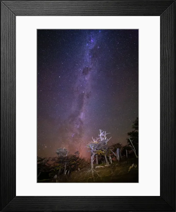 Framed Print : Milky Way above trees, Los Glaciares National Park, UNESCO World Heritage Site, Patagonia, Argentina, South America Framed Print : Milky Way above trees, Los Glaciares National Park, UNESCO World Heritage Site, Patagonia, Argentina, South America