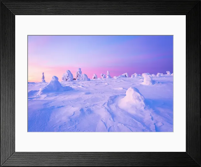 Framed Print : Romantic sky at dawn over frozen trees covered with snow, Riisitunturi National Park, Lapland, Finland, Europe Framed Print : Romantic sky at dawn over frozen trees covered with snow, Riisitunturi National Park, Lapland, Finland, Europe