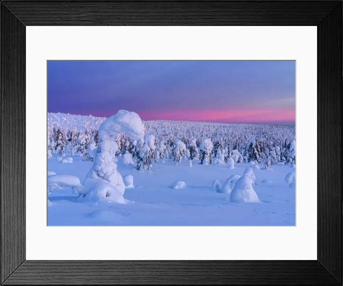 Framed Print : Winter sunrise over frozen spruce tree forest covered with snow, Riisitunturi National Park, Lapland, Finland, Europe Framed Print : Winter sunrise over frozen spruce tree forest covered with snow, Riisitunturi National Park, Lapland, Finland, Europe