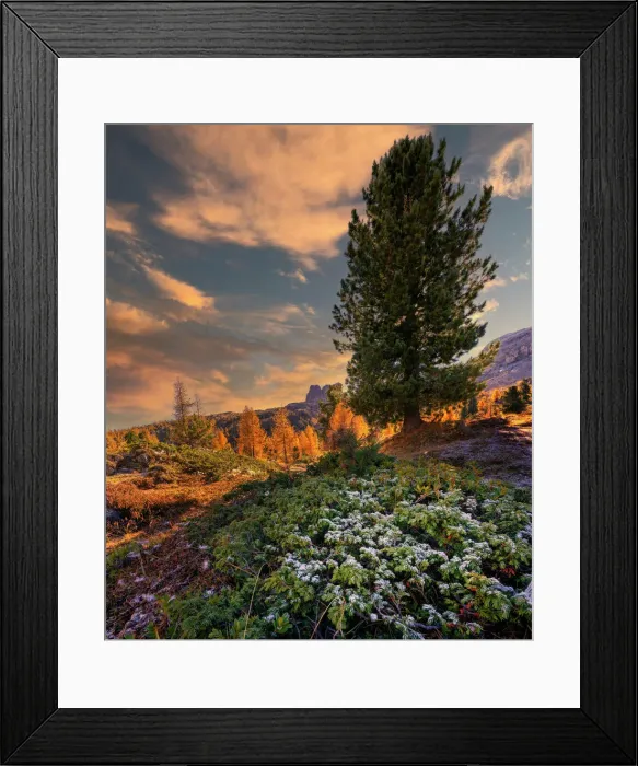 Framed Print : Nuvolau in autumn, Falzarego Pass, Dolomites, Veneto, Italy, Europe Framed Print : Nuvolau in autumn, Falzarego Pass, Dolomites, Veneto, Italy, Europe