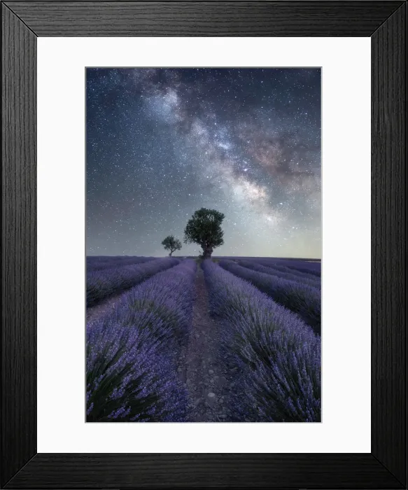 Framed Print : Milky way above a lavender field and two small trees on the Plateau de Valensole, Provence, France, Europe Framed Print : Milky way above a lavender field and two small trees on the Plateau de Valensole, Provence, France, Europe