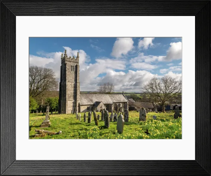 Framed Print : Spring Daffodils flowering in the graveyard of Throwleigh Church, Dartmoor National Park, Devon, England, United Kingdom, Europe Framed Print : Spring Daffodils flowering in the graveyard of Throwleigh Church, Dartmoor National Park, Devon, England, United Kingdom, Europe