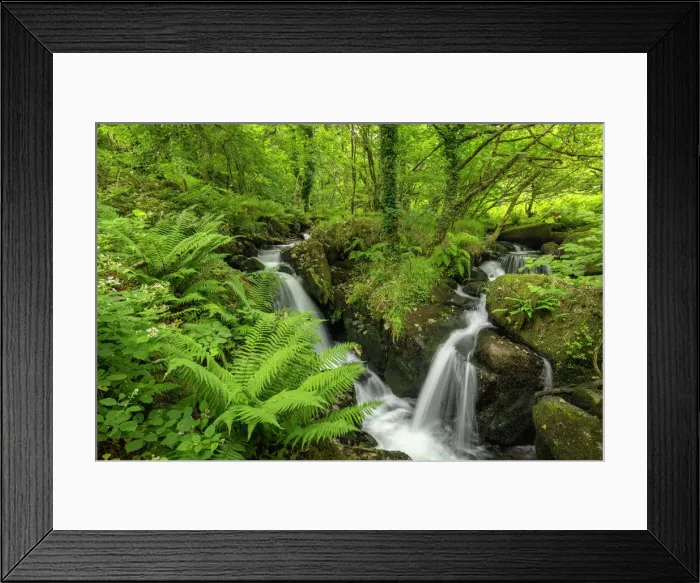 Framed Print : Tumbling waterfalls on a fast flowing stream through a verdant fern carpeted woodland, Dartmoor National Park, Devon, England, United Kingdom, Europe Framed Print : Tumbling waterfalls on a fast flowing stream through a verdant fern carpeted woodland, Dartmoor National Park, Devon, England, United Kingdom, Europe