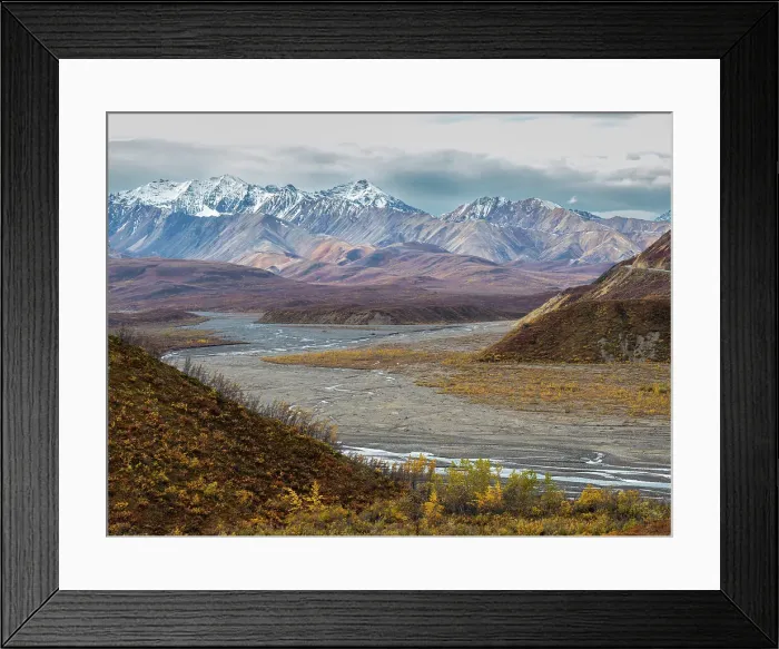 Framed Print : Fall color change amongst the trees and shrubs in Polychrome Pass in Denali National Park, Alaska, United States of America, North America Framed Print : Fall color change amongst the trees and shrubs in Polychrome Pass in Denali National Park, Alaska, United States of America, North America