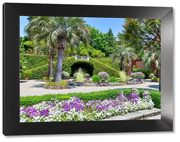 Isola Madre garden, Lake Maggiore, VCO district, Piedmont, Italian Lakes, Italy, Europe