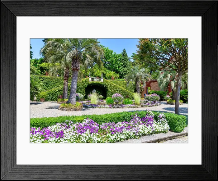 Framed Print : Isola Madre garden, Lake Maggiore, VCO district, Piedmont, Italian Lakes, Italy, Europe Framed Print : Isola Madre garden, Lake Maggiore, VCO district, Piedmont, Italian Lakes, Italy, Europe