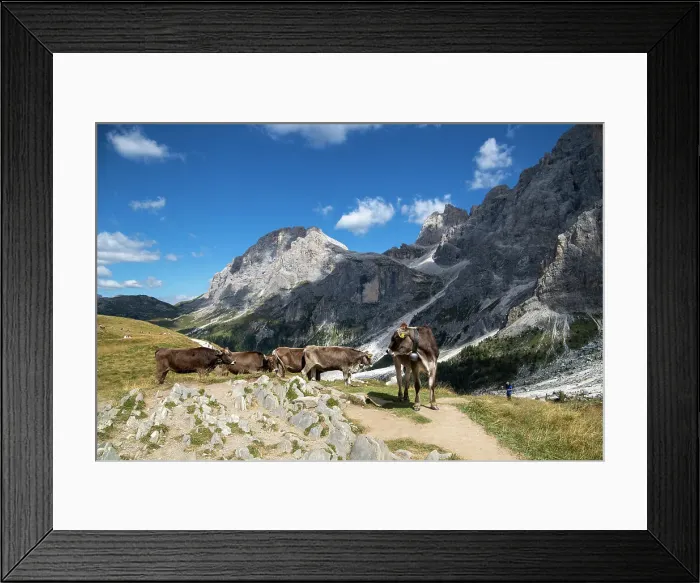 Framed Print : Pale di San Martino, Paneveggio Natural Park, Passo Rolle, Dolomites, Trentino, Italy, Europe Framed Print : Pale di San Martino, Paneveggio Natural Park, Passo Rolle, Dolomites, Trentino, Italy, Europe