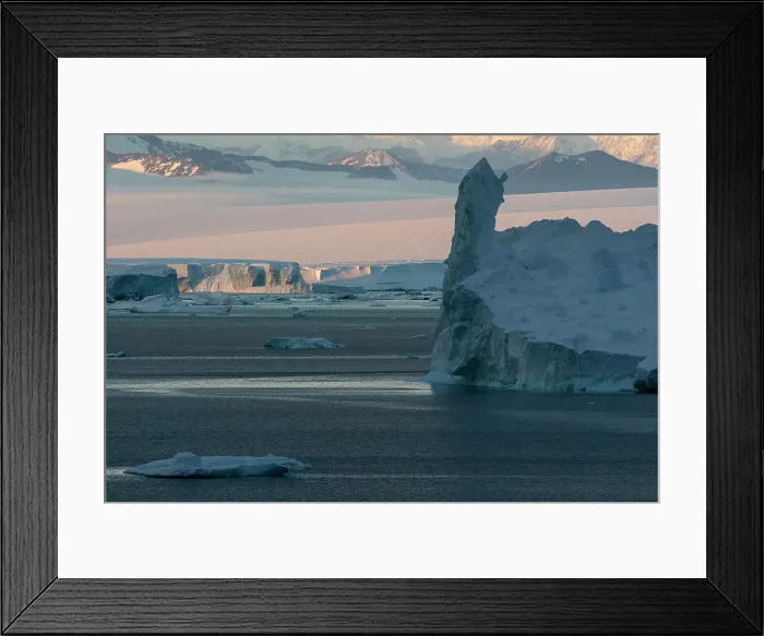 Framed Print : Icebergs at sunset in the Weddell Sea, Antarctica, Polar Regions Framed Print : Icebergs at sunset in the Weddell Sea, Antarctica, Polar Regions
