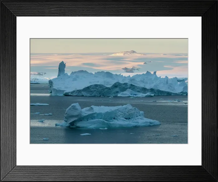 Framed Print : Icebergs at sunset in the Weddell Sea, Antarctica, Polar Regions Framed Print : Icebergs at sunset in the Weddell Sea, Antarctica, Polar Regions