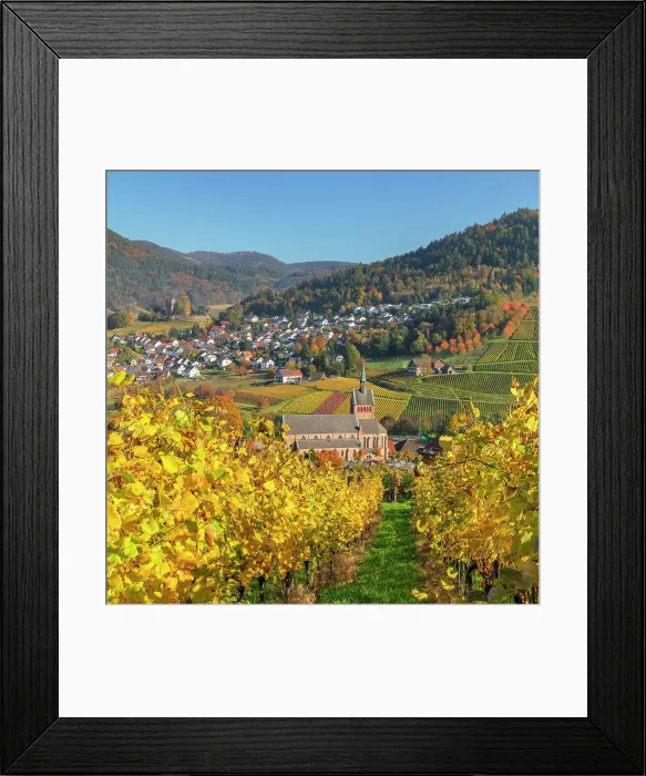 Framed Print : View over vineyards to Kappelrodeck in autumn, Black Forest, Baden-Wurttemberg, Germany Framed Print : View over vineyards to Kappelrodeck in autumn, Black Forest, Baden-Wurttemberg, Germany