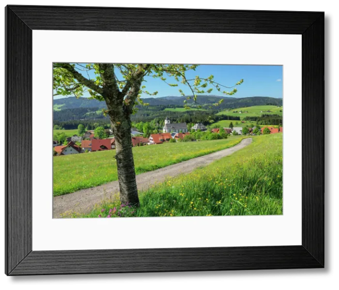 Framed Print : View from Breitnau to Feldberg Mountain, Black Forest, Baden-Wurttemberg, Germany Framed Print : View from Breitnau to Feldberg Mountain, Black Forest, Baden-Wurttemberg, Germany