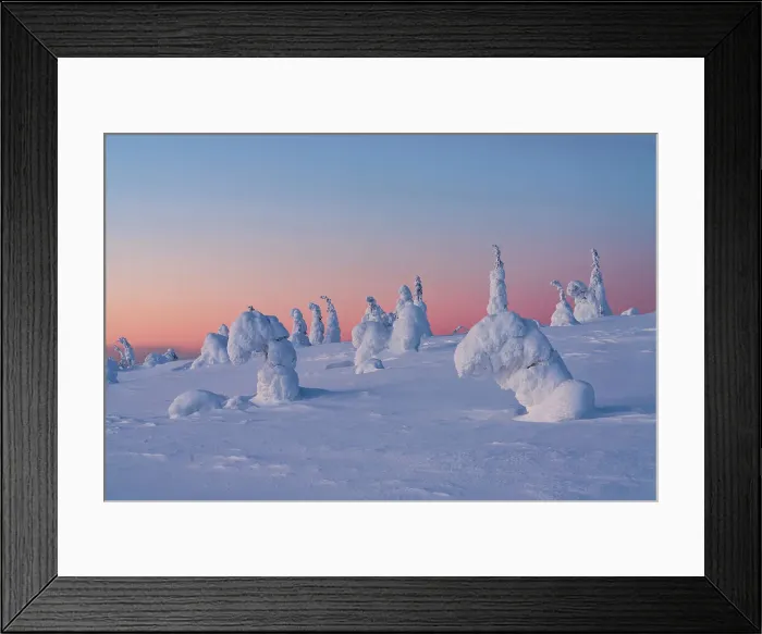 Framed Print : Pink sunset over ice sculptures in the winter scenery of Finnish Lapland, Riisitunturi National Park, Posio, Lapland, Finland Framed Print : Pink sunset over ice sculptures in the winter scenery of Finnish Lapland, Riisitunturi National Park, Posio, Lapland, Finland