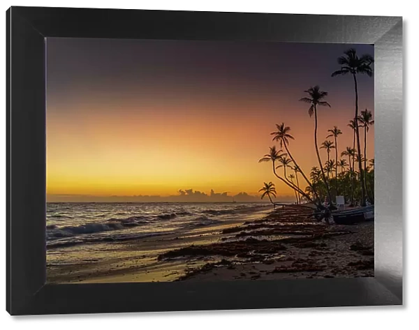 View of sea, beach and palm trees at sunrise, Bavaro Beach, Punta Cana, Dominican Republic, West Indies, Caribbean, Central America