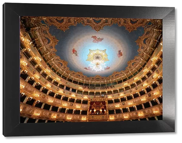 Audience Box Seating, Interior of the Gran Teatro La Fenice, Venezia (Venice), Veneto, Italy, Europe