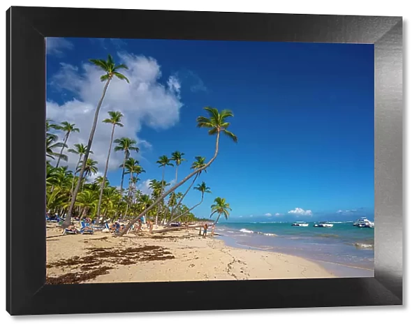 View of sea, beach and palm trees on a sunny day, Bavaro Beach, Punta Cana, Dominican Republic, West Indies, Caribbean, Central America
