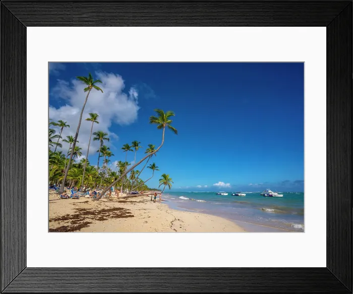 Framed Print : View of sea, beach and palm trees on a sunny day, Bavaro Beach, Punta Cana, Dominican Republic, West Indies, Caribbean, Central America Framed Print : View of sea, beach and palm trees on a sunny day, Bavaro Beach, Punta Cana, Dominican Republic, West Indies, Caribbean, Central America