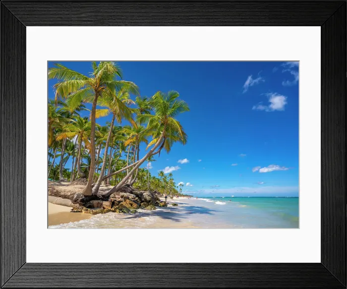 Framed Print : View of palm trees and sea at Bavaro Beach, Punta Cana, Dominican Republic, West Indies, Caribbean, Central America Framed Print : View of palm trees and sea at Bavaro Beach, Punta Cana, Dominican Republic, West Indies, Caribbean, Central America