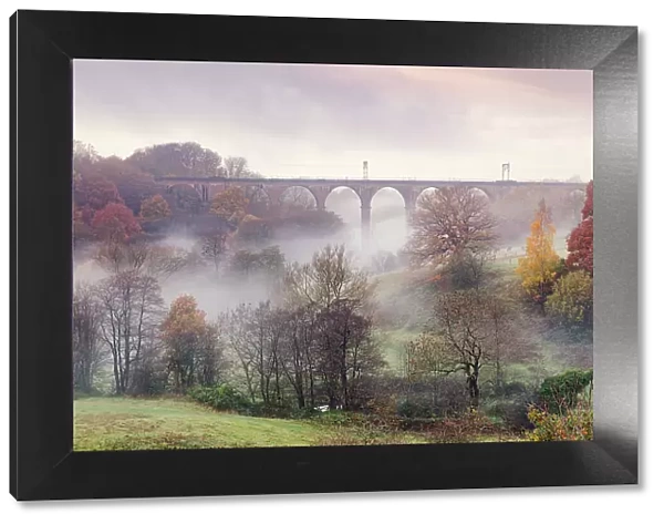 Morning mist swirling among the autumn coloured trees and railway viaduct at Dane-In-Shaw Pasture, Cheshire, England, United Kingdom, Europe