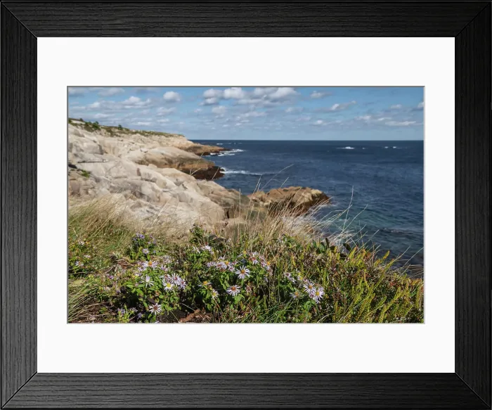 Framed Print : Rocky Shoreline at Duncan's Cove Nature Reserve, Nova Scotia, Canada, North America Framed Print : Rocky Shoreline at Duncan's Cove Nature Reserve, Nova Scotia, Canada, North America