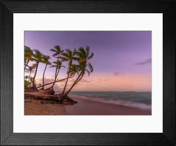 Framed Print : View of palm trees on Bavaro Beach at sunset, Punta Cana, Dominican Republic, West Indies, Caribbean, Central America Framed Print : View of palm trees on Bavaro Beach at sunset, Punta Cana, Dominican Republic, West Indies, Caribbean, Central America