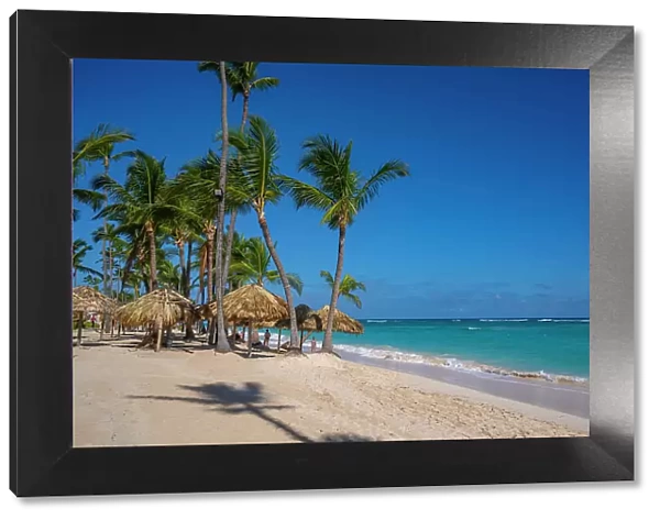 View of palm trees on Bavaro Beach, Punta Cana, Dominican Republic, West Indies, Caribbean, Central America