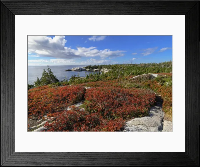Framed Print : Crystal Crescent Beach Provincial Park in Autumn, Nova Scotia, Canada, North America Framed Print : Crystal Crescent Beach Provincial Park in Autumn, Nova Scotia, Canada, North America