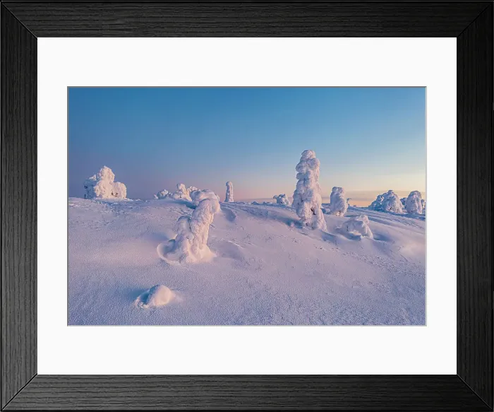 Framed Print : Cold arctic sunrise over frozen spruce trees covered with snow, aerial view, Riisitunturi National Park, Posio, Lapland, Finland, Europe Framed Print : Cold arctic sunrise over frozen spruce trees covered with snow, aerial view, Riisitunturi National Park, Posio, Lapland, Finland, Europe
