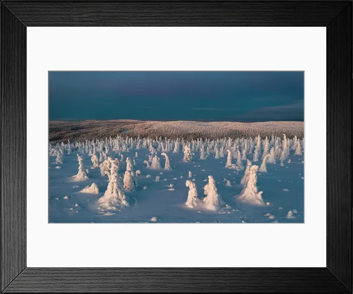 Framed Print : Sunrise over ice sculptures in the snowy forest, aerial view, Riisitunturi National Park, Posio, Lapland, Finland, Europe Framed Print : Sunrise over ice sculptures in the snowy forest, aerial view, Riisitunturi National Park, Posio, Lapland, Finland, Europe