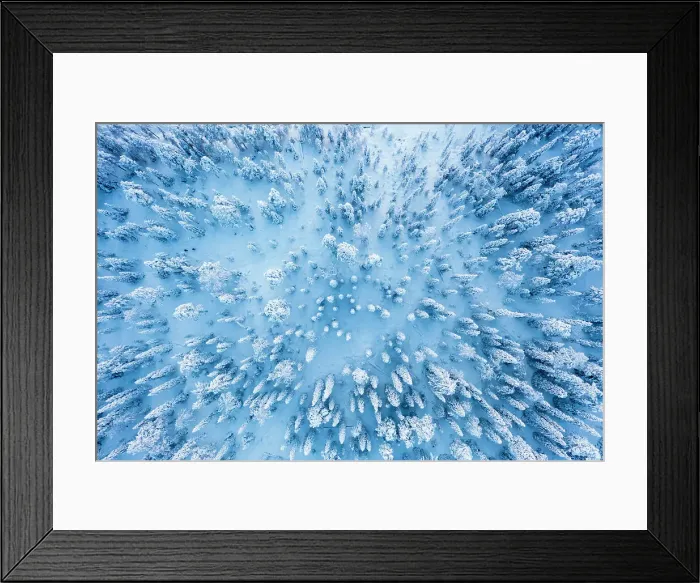 Framed Print : Frozen snowy forest after a winter blizzard at dusk, overhead view, Lapland, Finland, Europe