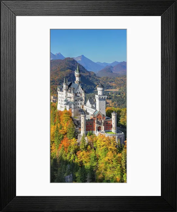Framed Print : Neuschwanstein Castle, Schwangau, Allgau, Swabia, Bavaria, Germany, Europe Framed Print : Neuschwanstein Castle, Schwangau, Allgau, Swabia, Bavaria, Germany, Europe