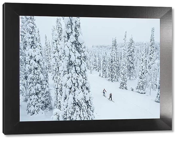 Two people cross country skiing in the snowy forest, aerial view, Lapland, Finland, Europe