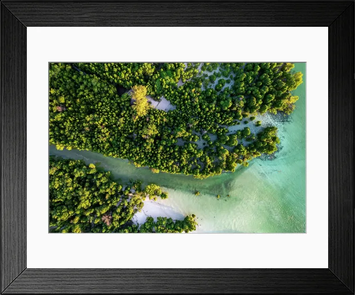 Framed Print : Aerial view of lush mangrove forest in the tropical lagoon, Pingwe, Chwaka Bay, Zanzibar, Tanzania, East Africa, Africa Framed Print : Aerial view of lush mangrove forest in the tropical lagoon, Pingwe, Chwaka Bay, Zanzibar, Tanzania, East Africa, Africa