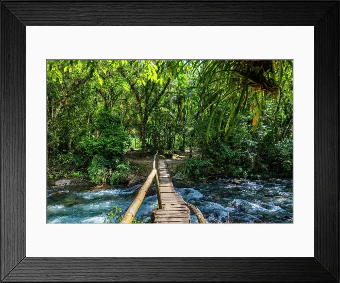 Framed Print : Footbridge over the Batari River, Atlantic Forest South-East Reserves, UNESCO World Heritage Site, Alto Ribeira Touristic State Park, Sao Paulo State, Brazil, South America Framed Print : Footbridge over the Batari River, Atlantic Forest South-East Reserves, UNESCO World Heritage Site, Alto Ribeira Touristic State Park, Sao Paulo State, Brazil, South America