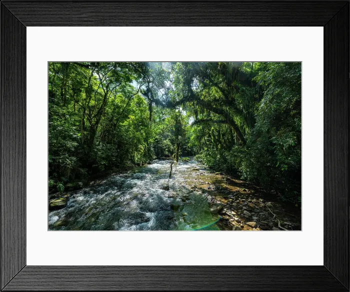 Framed Print : Batari River, Atlantic Forest South-East Reserves, UNESCO World Heritage Site, Alto Ribeira Touristic State Park, Sao Paulo State, Brazil, South America Framed Print : Batari River, Atlantic Forest South-East Reserves, UNESCO World Heritage Site, Alto Ribeira Touristic State Park, Sao Paulo State, Brazil, South America