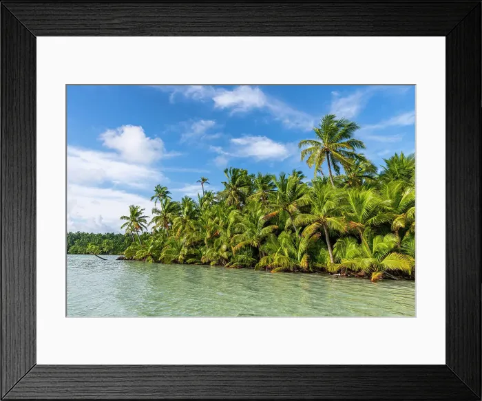 Framed Print : Palm tree grove right at the lagoon, Cocos (Keeling) Islands, Australian Indian Ocean Territory, Australia, Indian Ocean