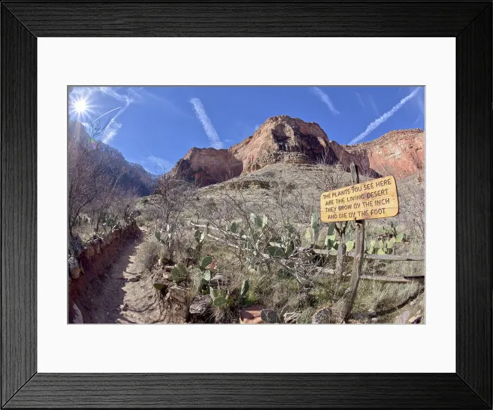 Framed Print : A sign along the Bright Angel Trail in Grand Canyon warning that the plants in this area are very fragile, Grand Canyon National Park, UNESCO World Heritage Site, Arizona, United States of America, North America Framed Print : A sign along the Bright Angel Trail in Grand Canyon warning that the plants in this area are very fragile, Grand Canyon National Park, UNESCO World Heritage Site, Arizona, United States of America, North America